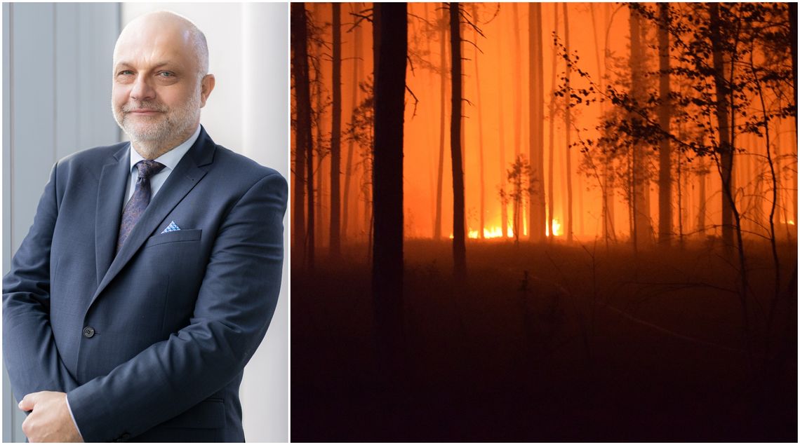 Pożar strawił setki hektarów. Przyroda się odbuduje, ale straty są realne