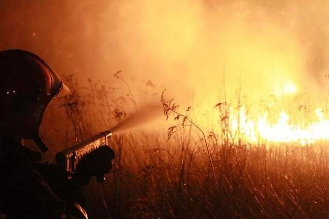 Pożar traw na górkach czechowskich (zdjęcia) Pożar traw na górkach czechowskich (zdjęcia)