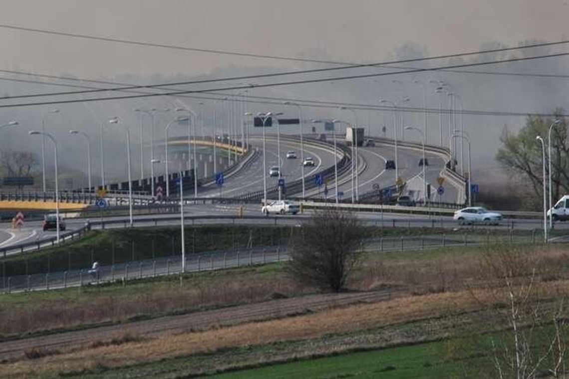 Pożar traw przy estakadzie nad Bystrzycą. Kolejny dzień walki z żywiołem