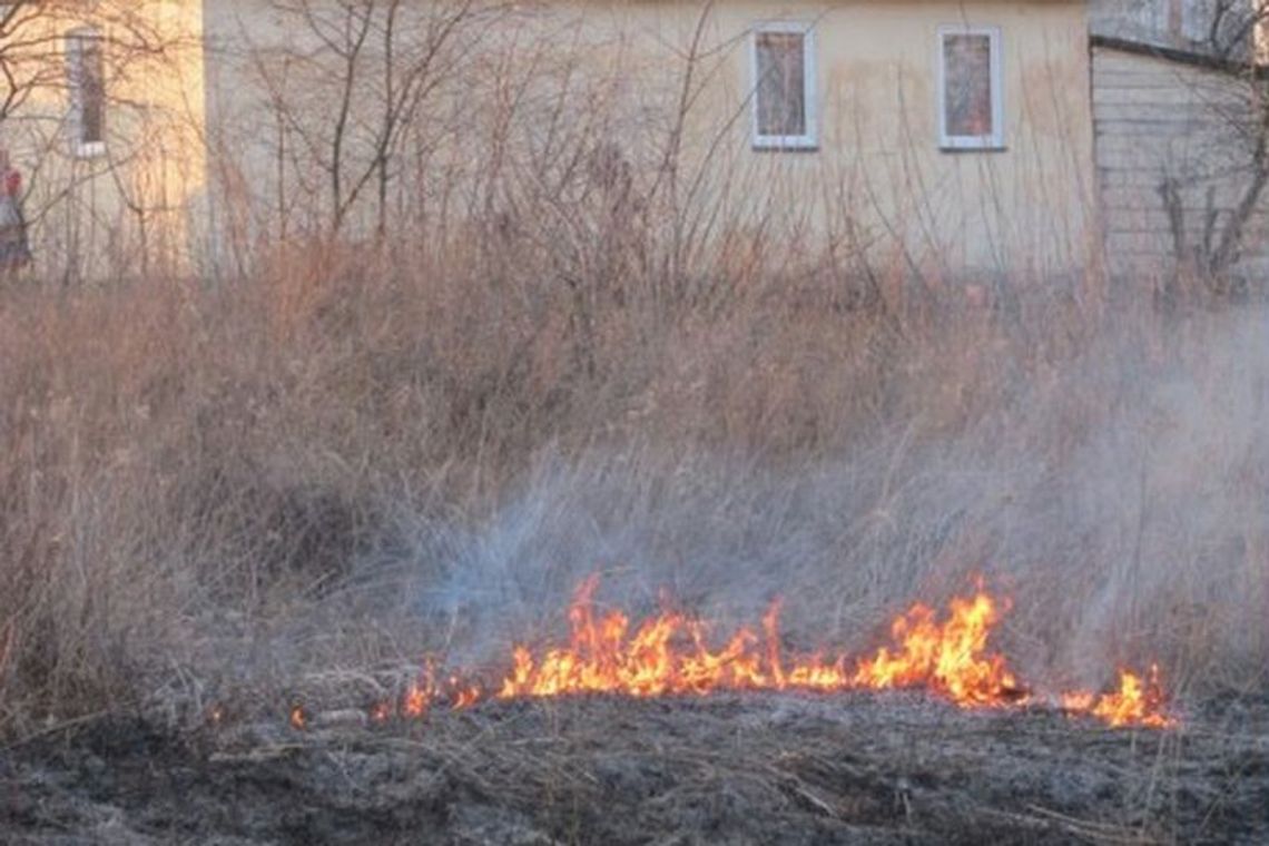 Pożar traw przy Janowskiej. Ogień blisko budynków (zdjęcia, wideo)