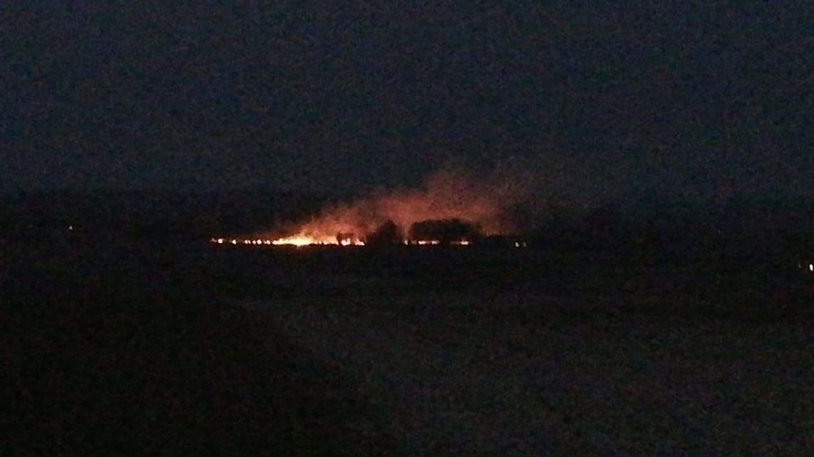 Pożar traw w gminie Siedliszcze. Silny wiatr utrudniał strażakom akcję 