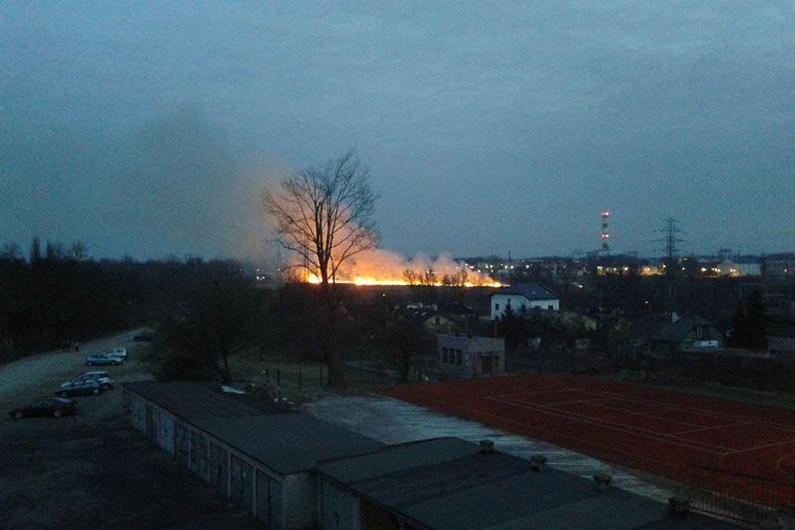 Pożar traw w Lublinie (zdjęcia, wideo od Czytelników)