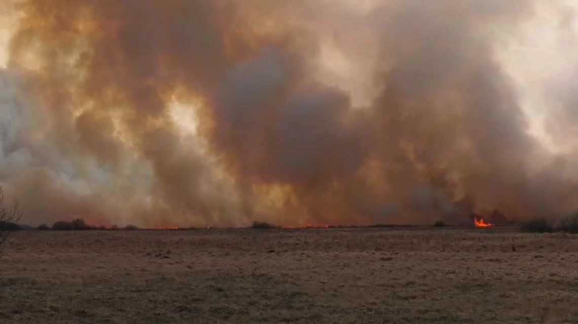 Pożar w Biebrzańskim Parku Narodowym coraz bardziej się rozprzestrzenia