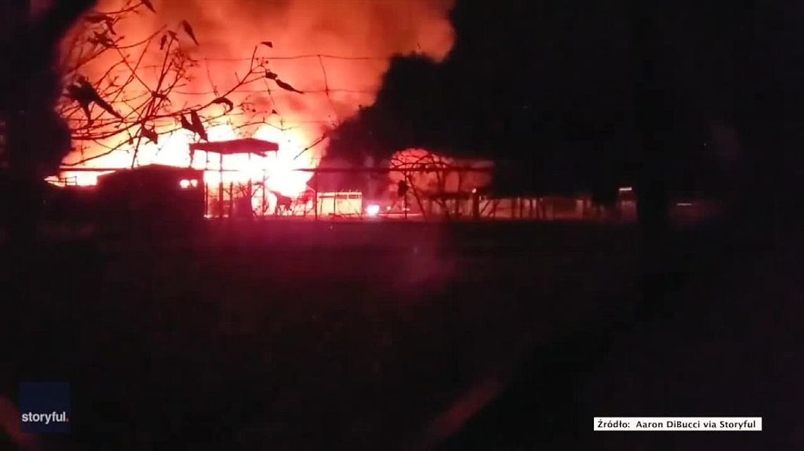 Pożar w parku safarii w USA. Spłonęło 10 zwierząt