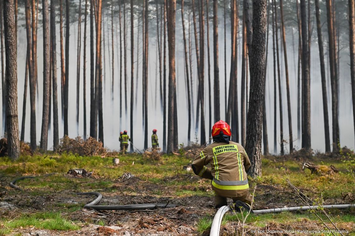 Pożar w Puszczy Solskiej. Sytuacja trudna, możliwa ewakuacja mieszkańców