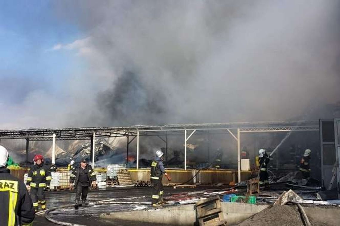 Pożar w szklarni, pali się styropian. Obok zbiornik z paliwem na 10 tys. litrów