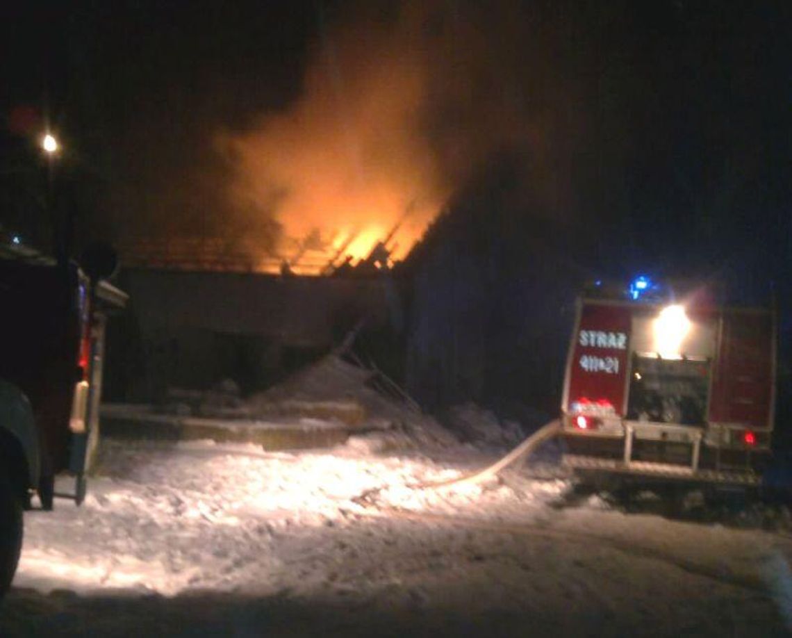 Pożar w Zosinie: Budynek w ogniu, ale zwierzęta uratowane