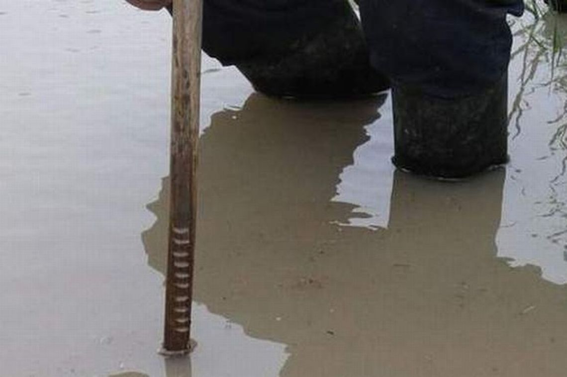 Poziom wody w rzekach się podniósł