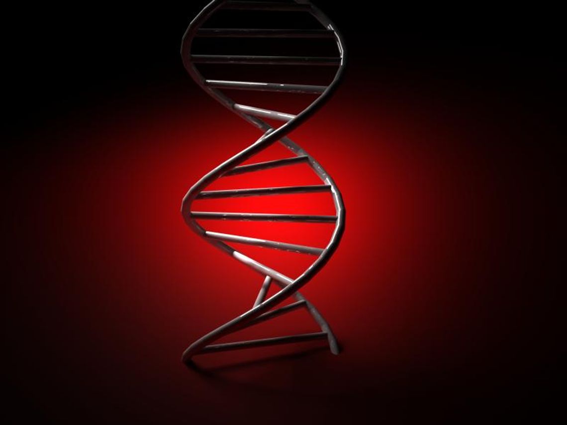 Poznaj DNA od środka, naciesz się urodą pleśni