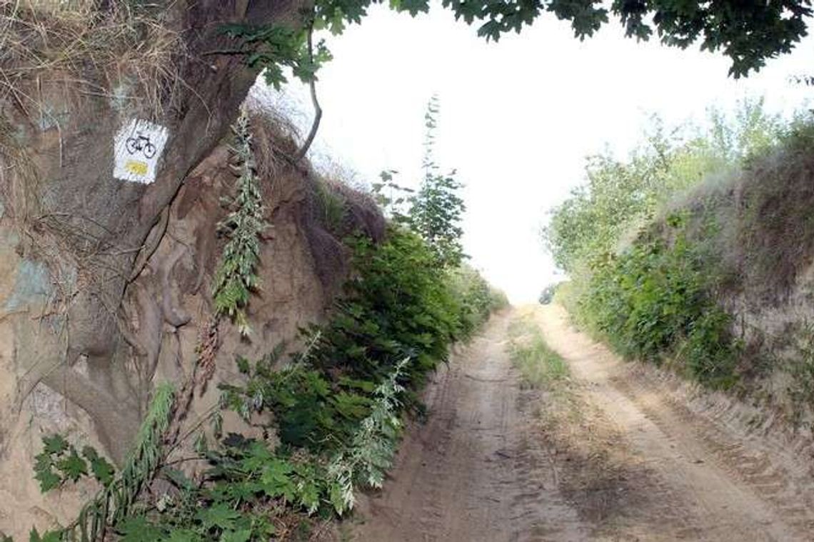 Poznaj historię swojego regionu. Na rowerze śladami poety Jana Pocka - część 3