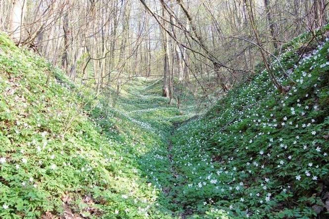 Poznaj historię swojego regionu. Nasz papież w Nałęczowie