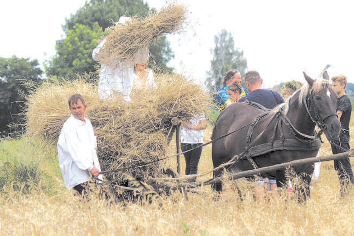 Poznaj historię swojego regionu. Pamiętają o dożynkowej tradycji
