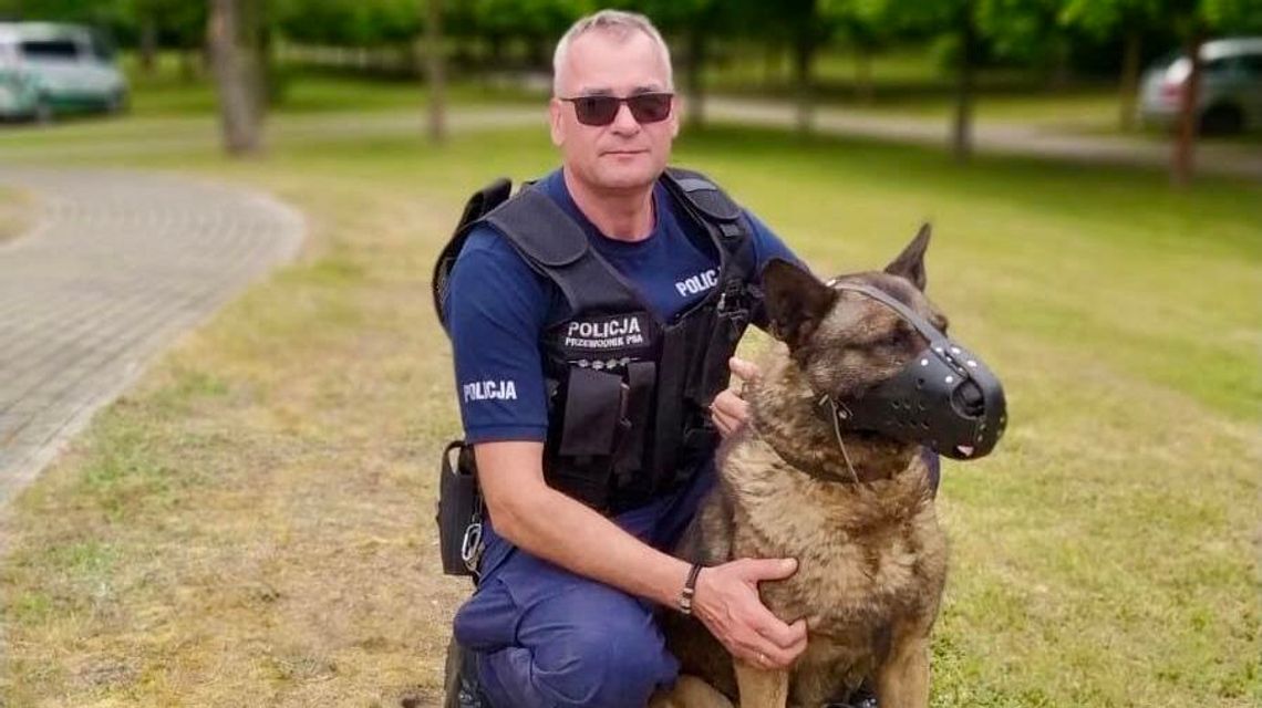 Poznajcie Impasa! Tropienie włamywaczy ma w małym palcu