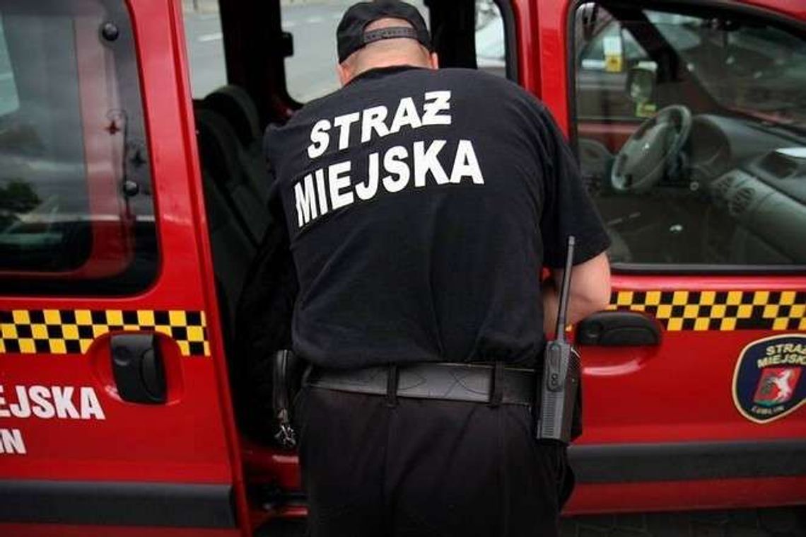 Praca w Lublinie: Straż Miejska szuka nowych pracowników. Jakie są wymagania? Praca w Lublinie: Straż Miejska szuka nowych pracowników. Jakie są wymagania?