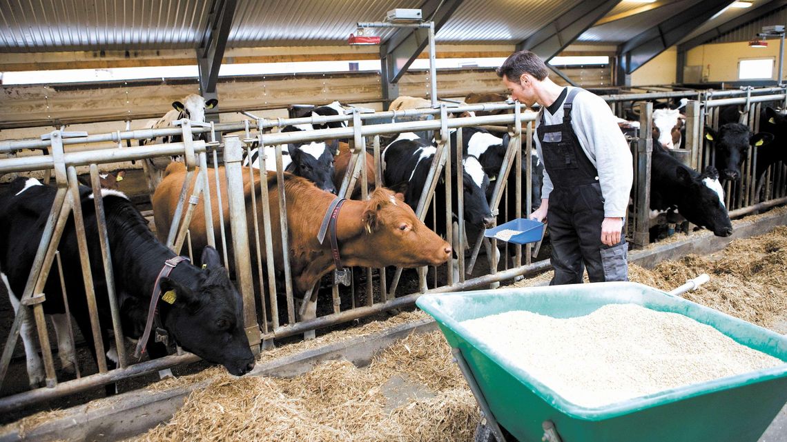 Praca w rolnictwie za 13-14 tysięcy zł miesięcznie. Szukają chętnych także z woj. lubelskiego