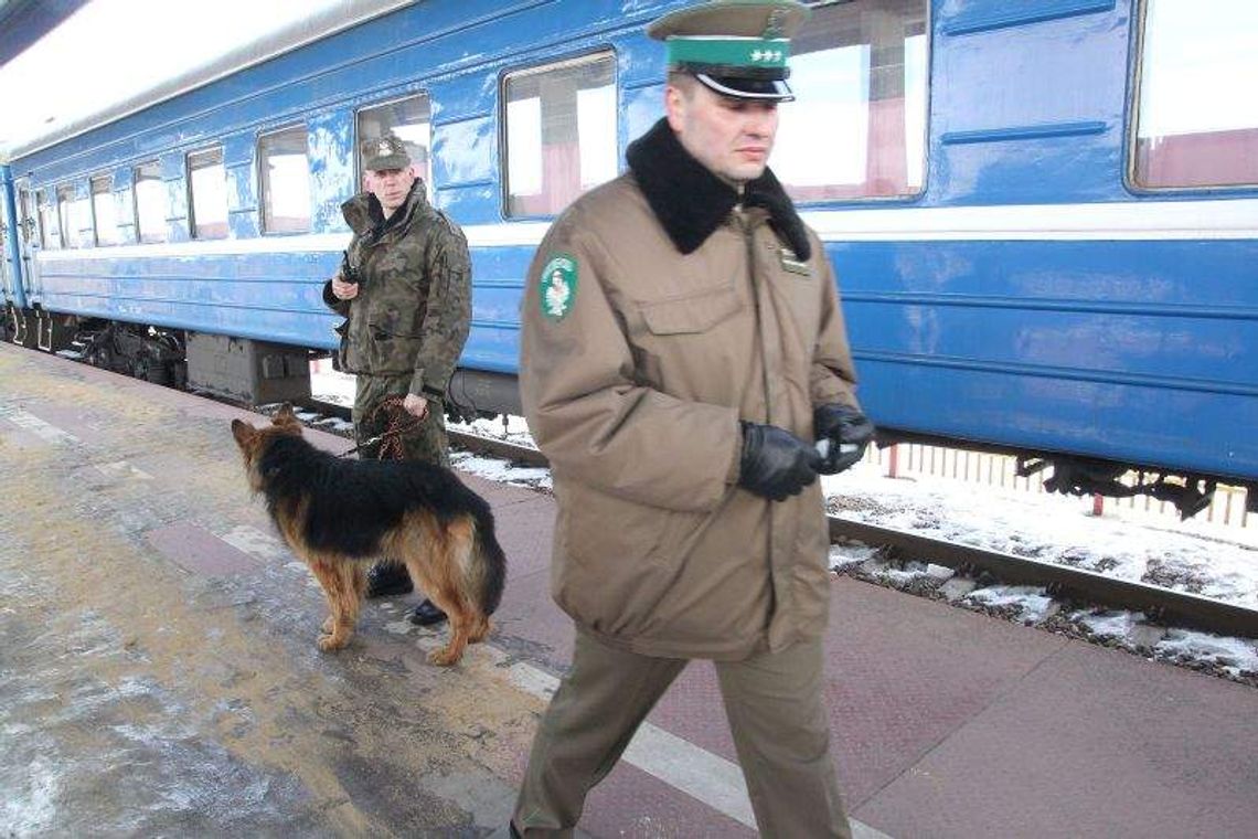 Praca w Straży Granicznej. Rusza nabór, 13 osób na miejsce Praca w Straży Granicznej. Rusza nabór, 13 osób na miejsce