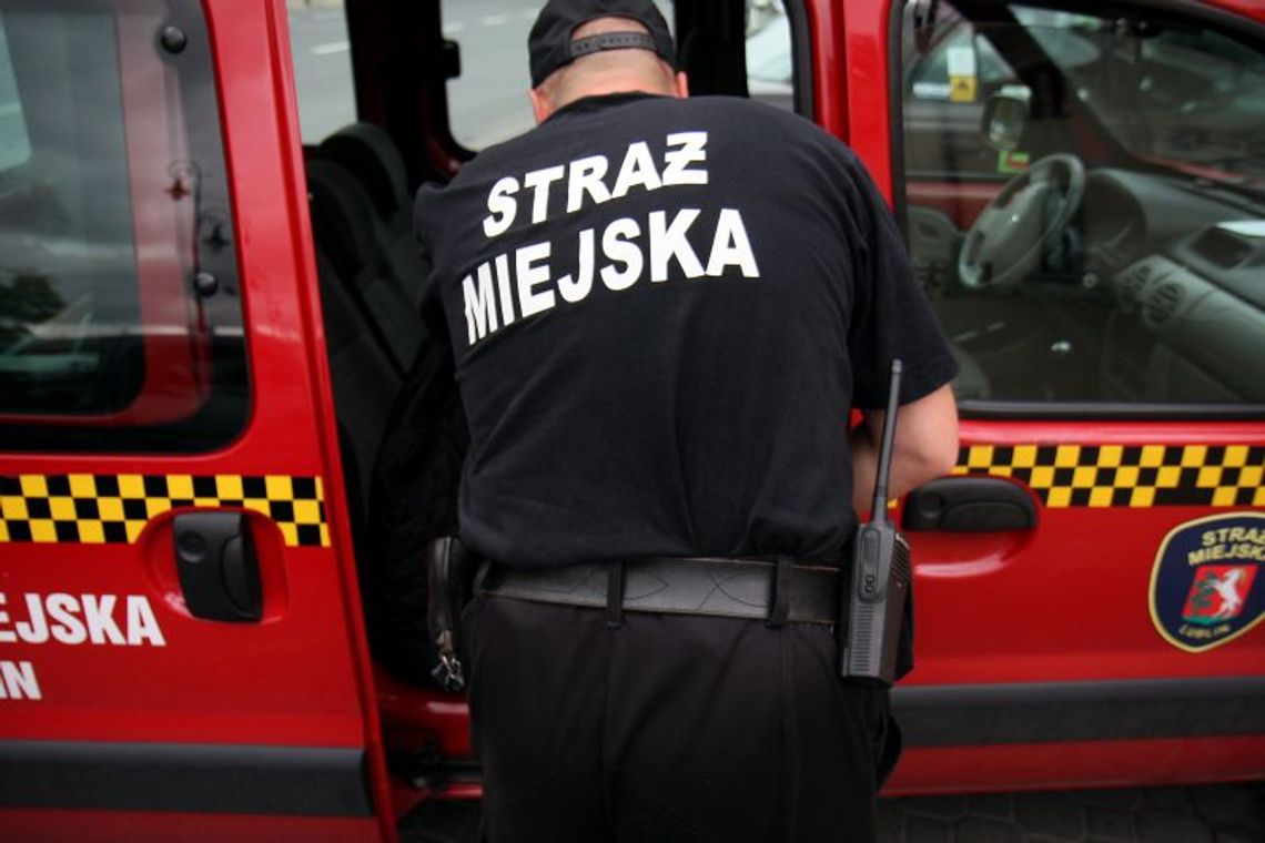 Pracę w Straży Miejskiej dostaną najlepsi z 268 kandydatów 