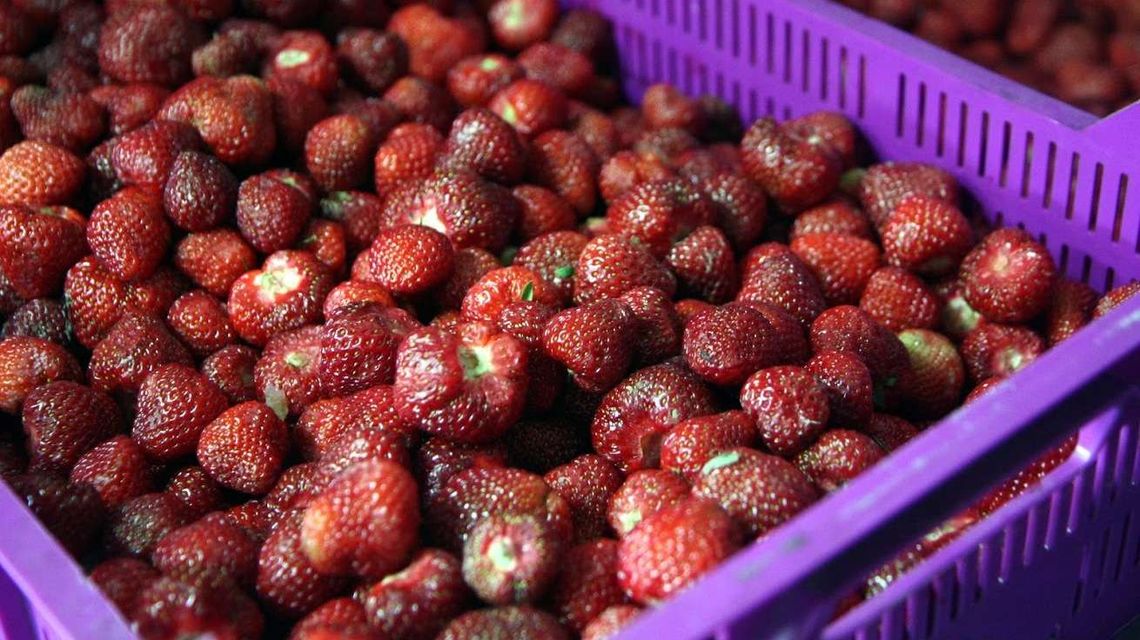 Pracujesz za granicą? Rozlicz się z Urzędem Skarbowym