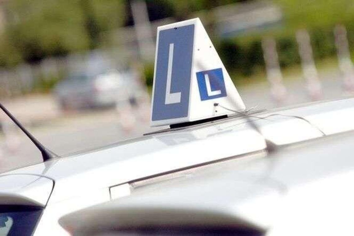 Prawo jazdy za łapówkę w Biłgoraju? Zarzuty usłyszało już 80 osób