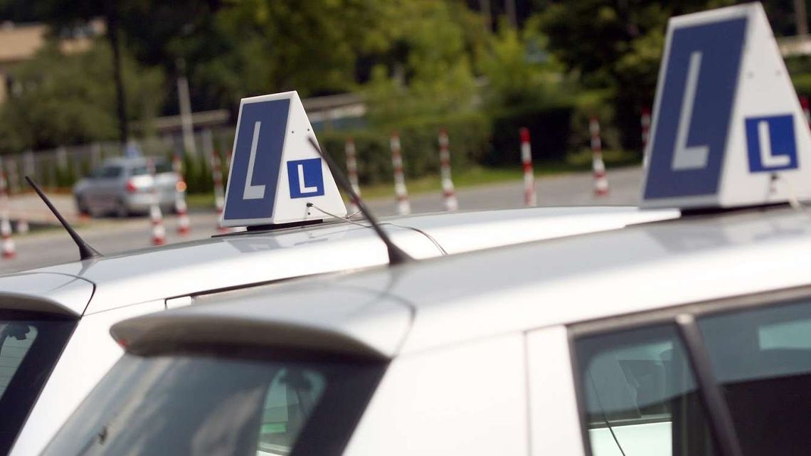 Prawo jazdy zrobisz w Kraśniku. Powstanie oddział WORD