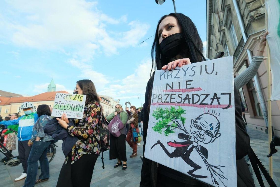 Prezydent Lublina zapowiada spotkanie z obrońcami drzew z ul. Lipowej