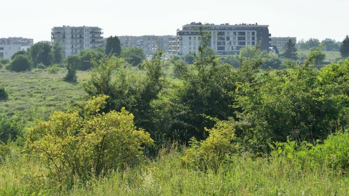 Prezydent zgodzi się na budowę bloków na górkach czechowskich? Dziś poznamy decyzję
