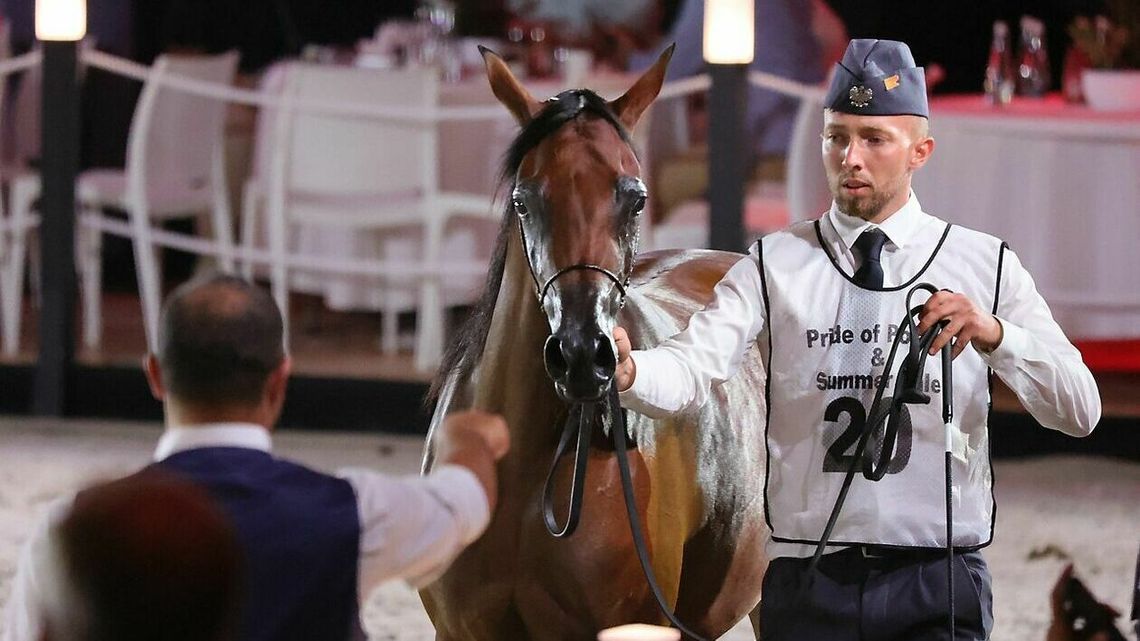 Pride of Poland 2023. Klacz El Esmera została sprzedana za 810 tys. euro! Pride of Poland 2023. Klacz El Esmera została sprzedana za 810 tys. euro!