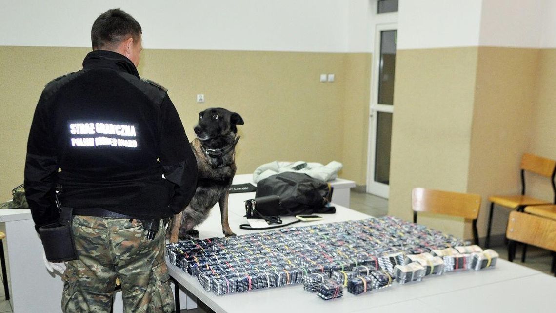 Próbowała wywieźć z Polski całą walizkę leków. Wpadła na granicy
