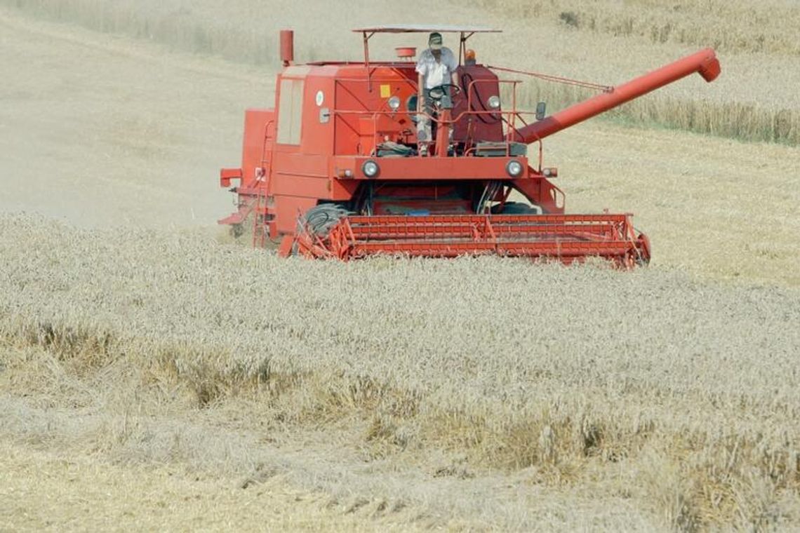 Prof. Gorzelak w woj. lubelskim: Wasza sytuacja nie jest łatwa