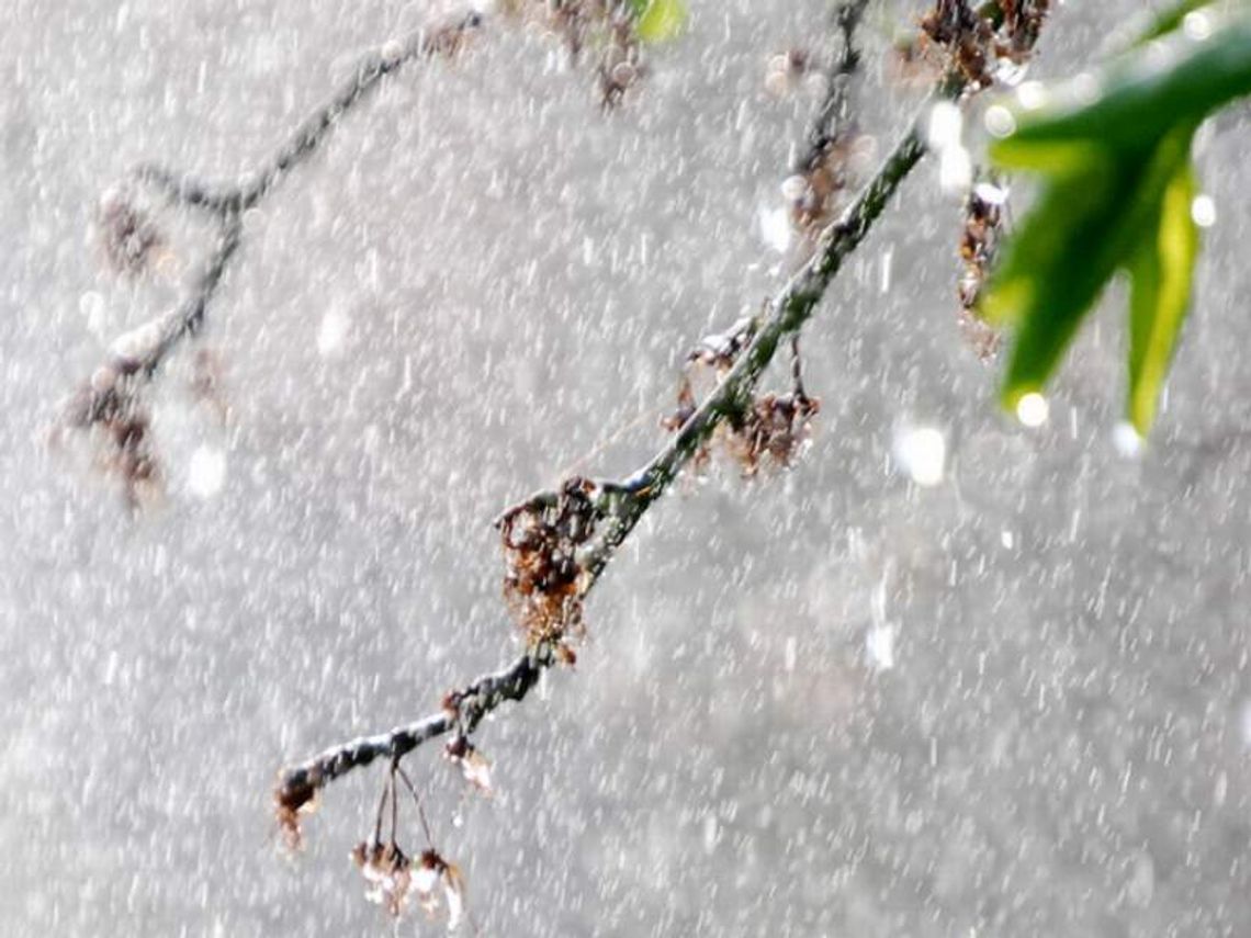 Prognoza pogody: Wreszcie idzie wiosna