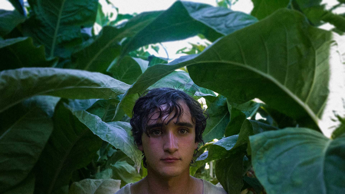 Program TV 21-23 kwietnia 2023. Jakie filmy warto zobaczyć w telewizji? 