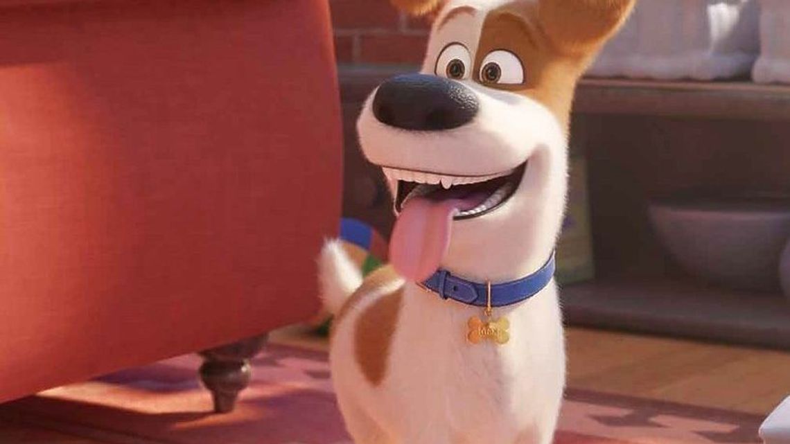 Program TV 27-29 marca 2020. Co warto zobaczyć w telewizji?