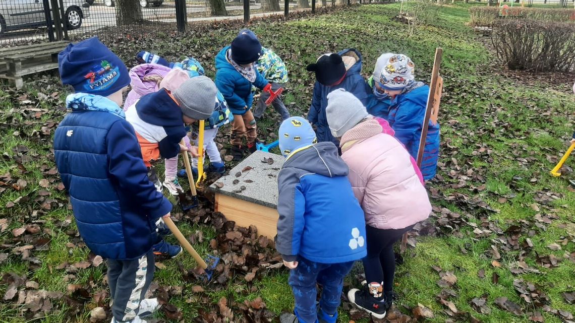 Prosta sprawa. Dzieci zatroszczyły się o jeże i zrobiły im domki na zimę