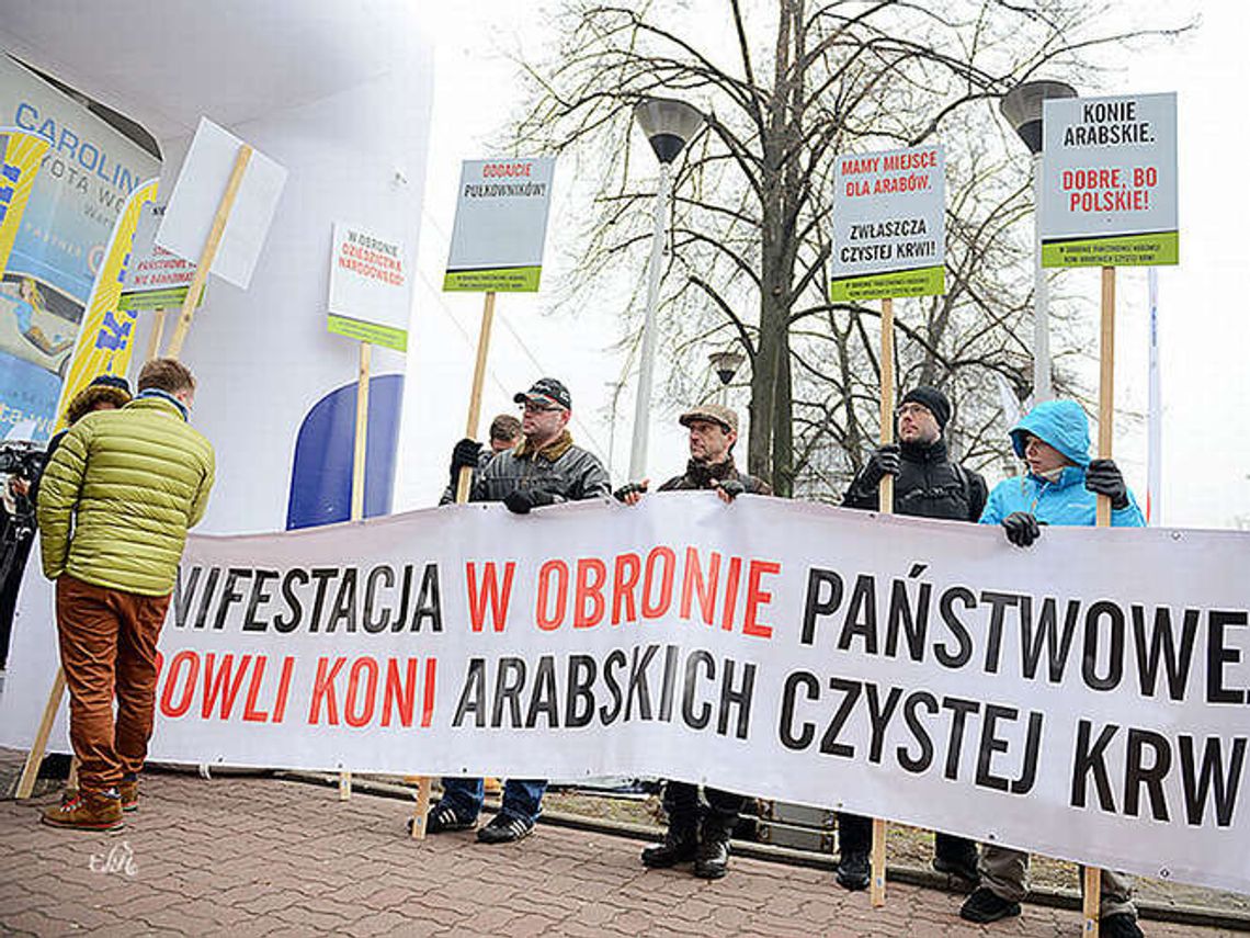 Protest hodowców koni. Apelują o przywrócenie do pracy zwolnionych prezesów stadnin Protest hodowców koni. Apelują o przywrócenie do pracy zwolnionych prezesów stadnin