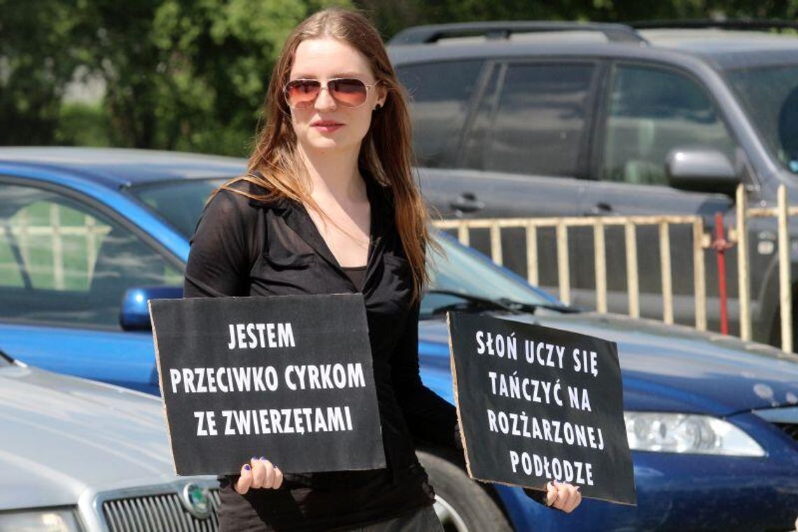 Protest przed cyrkiem. \"Kulisy cyrku nie są śmieszne\" Protest przed cyrkiem. \"Kulisy cyrku nie są śmieszne\"