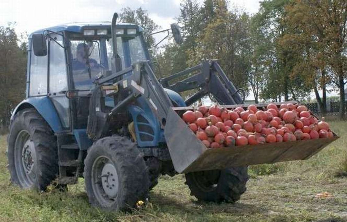 Prowadzą najlepsze ekologiczne gospodarstwo towarowe w Polsce