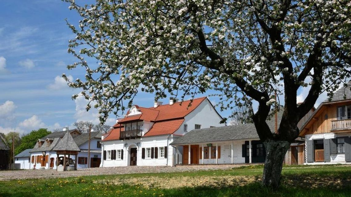 Prowincjonalne miasteczko z bliska w Skansenie