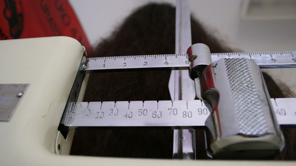 Przebadali zdrowie uczniów z dwóch gmin w woj. lubelskim. Wyniki alarmujące