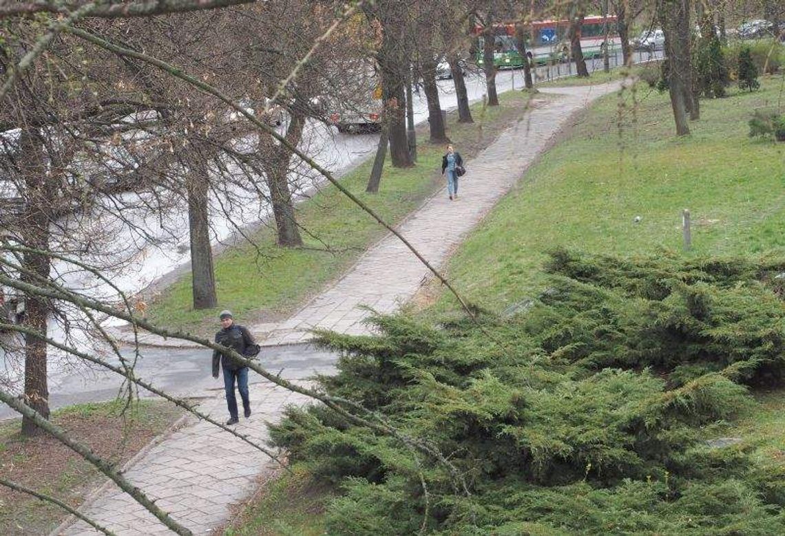 Przebudowa Al. Racławickich i Sowińskiego. Jakie pomysły mają mieszkańcy? Przebudowa Al. Racławickich i Sowińskiego. Jakie pomysły mają mieszkańcy?