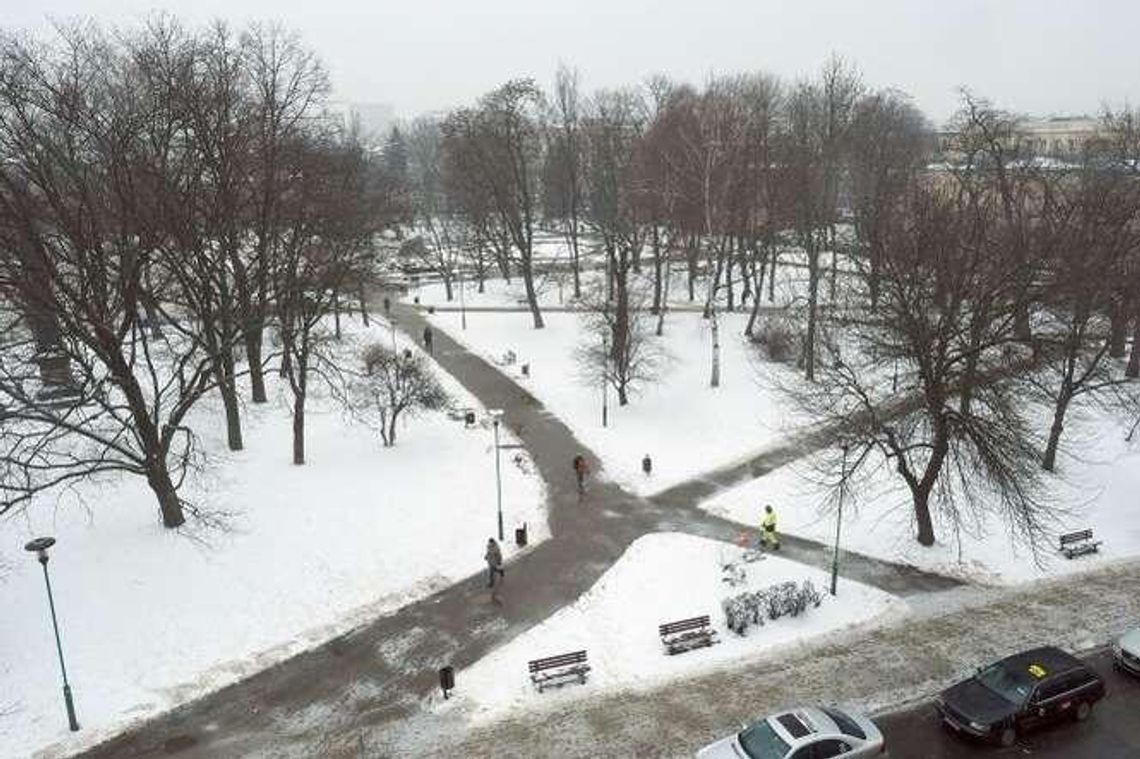 Przebudowa placu Litewskiego: Wytną mniej drzew niż planowali wcześniej?