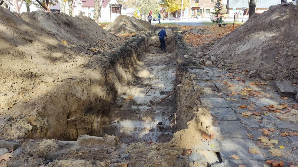 Przebudowa rynku w Wąwolnicy. "Drzewa na pewno nie ucierpią" 