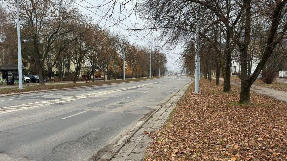 Przebudowa Zana nabiera tempa. Drzewa mają zostać Przebudowa Zana nabiera tempa. Drzewa mają zostać