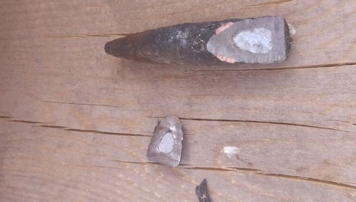 Przecinając drzewo przepiłowali część pocisku z okresu II wojny światowej