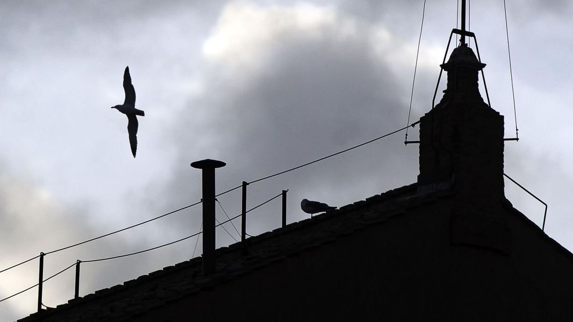 Przed konklawe: na kogo wskazują kardynałowie? Przed konklawe: na kogo wskazują kardynałowie?