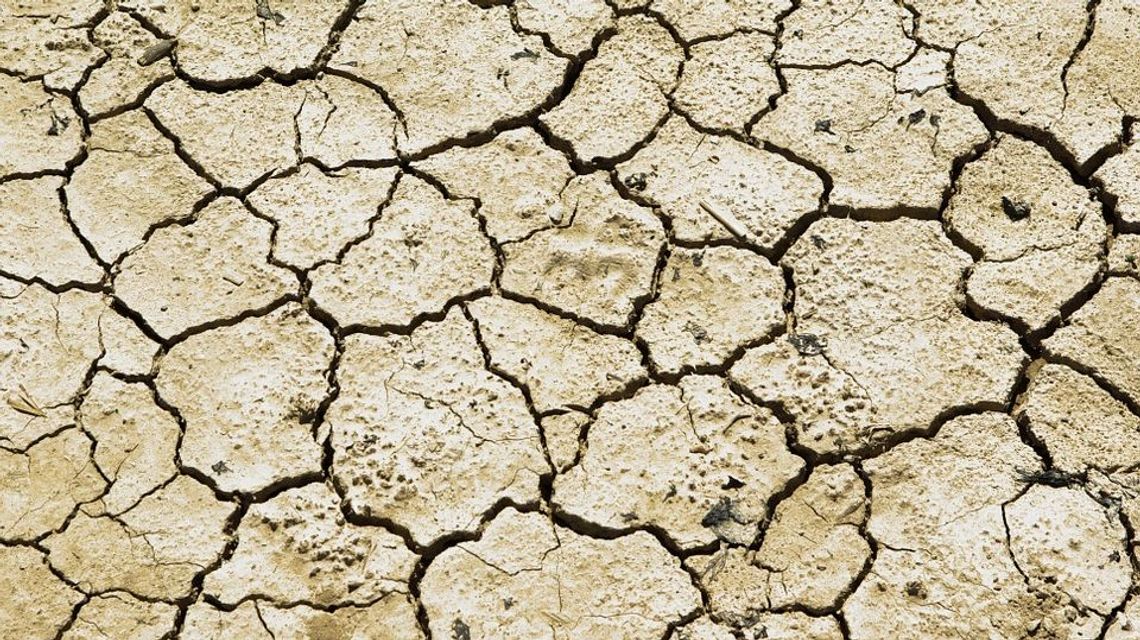 Przedsiębiorca z Białej Podlaskiej chce pomóc zwalczać suszę 