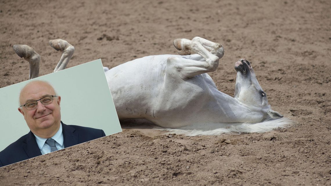 Przegląd tygodnia, czyli dubajska misja specjalna Przegląd tygodnia, czyli dubajska misja specjalna