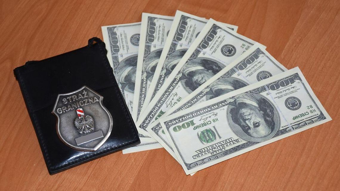 Przekraczał granicę, miał imitację dolarów. 36-latek zatrzymany Przekraczał granicę, miał imitację dolarów. 36-latek zatrzymany