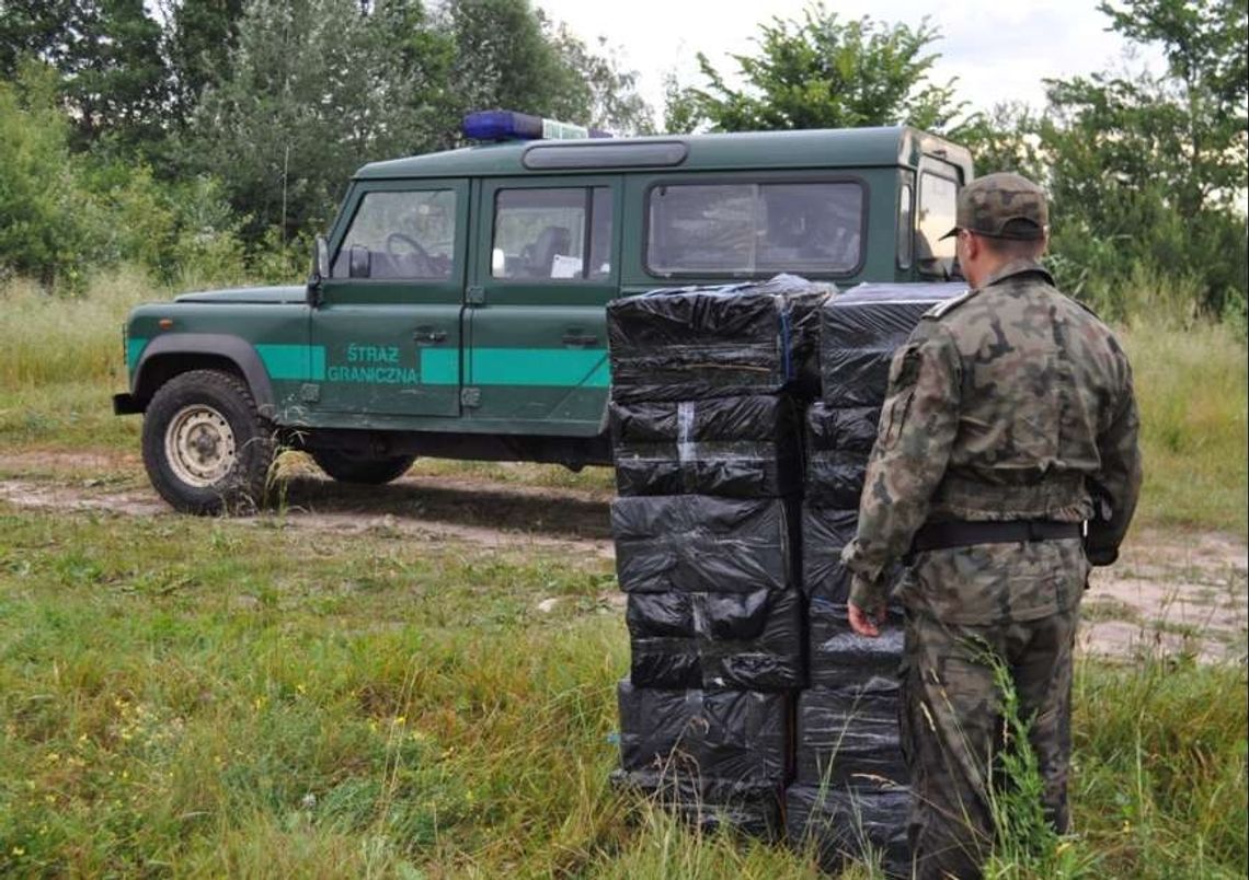 Przemytnicy ukryli w zaroślach ponad 100 tys. papierosów Przemytnicy ukryli w zaroślach ponad 100 tys. papierosów