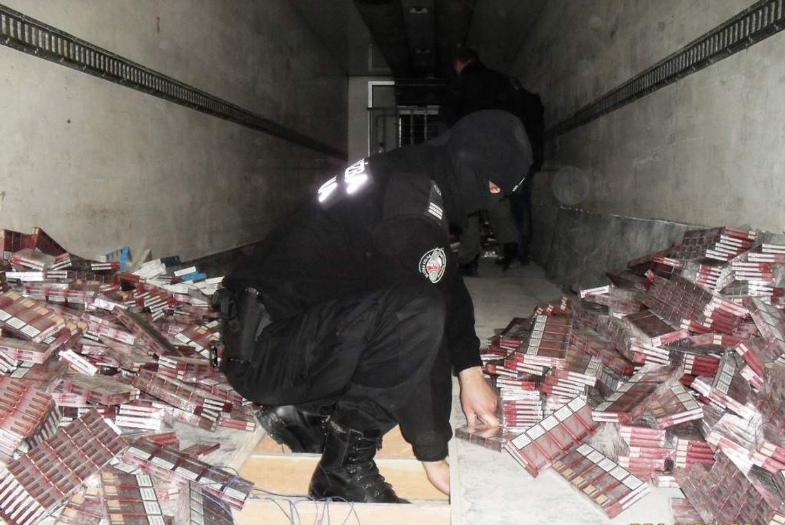 Przemytniczy rekord. 40 tys. paczek papierosów w ciężarówce-chłodni