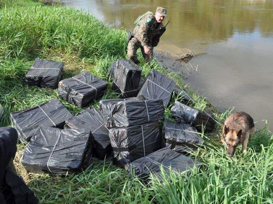 Przemytnik przemycił papierosy na pontonie